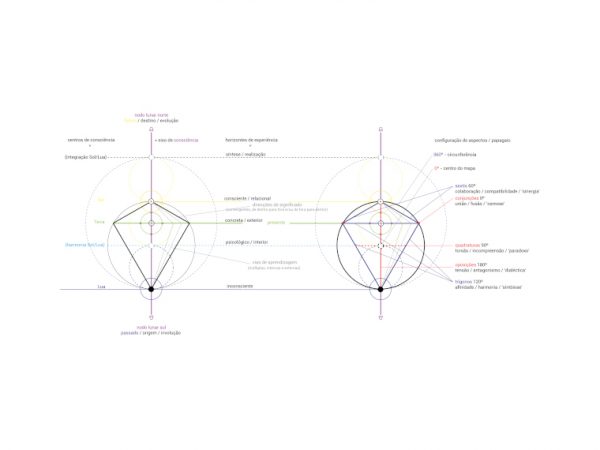 diagrama "o papagaio da consciência", 2014